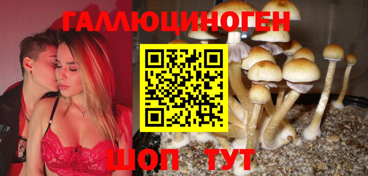 Галлюциногенные грибы MAGIC MUSHROOMS Барнаул