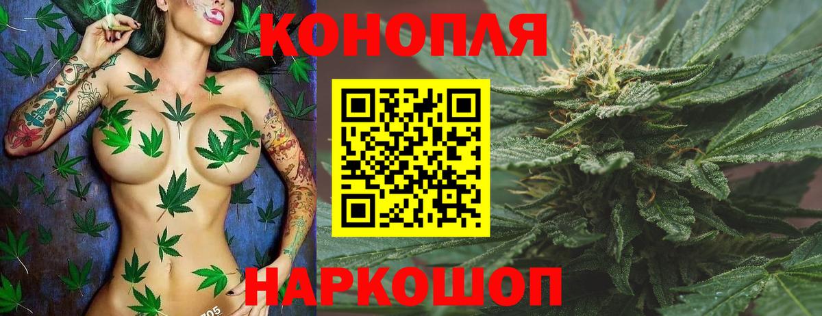 Бошки марихуана Bruce Banner  Каннабис семена  Марихуана марихуана  Вход с VPN  Барнаул  Конопля семена 